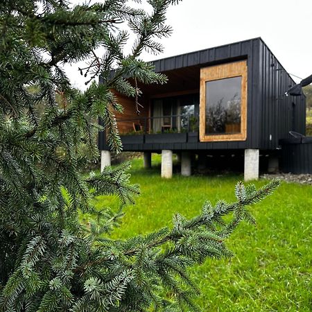 Brown Deer - Z Sauna Na Tarasie, Jacuzzi I Widokiem Na Gory - By Deer Hills Luxury Apartments Kocon المظهر الخارجي الصورة